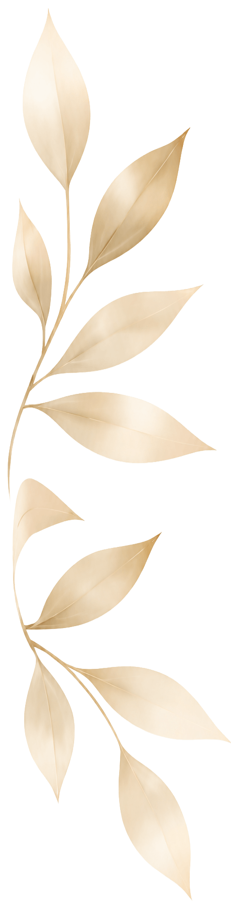 Leaves Left